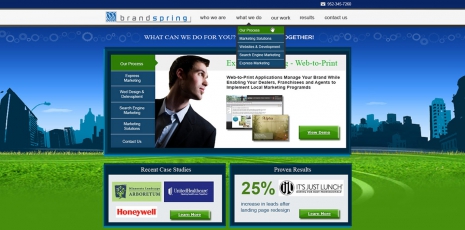 Brandspring Solutions – Website Design