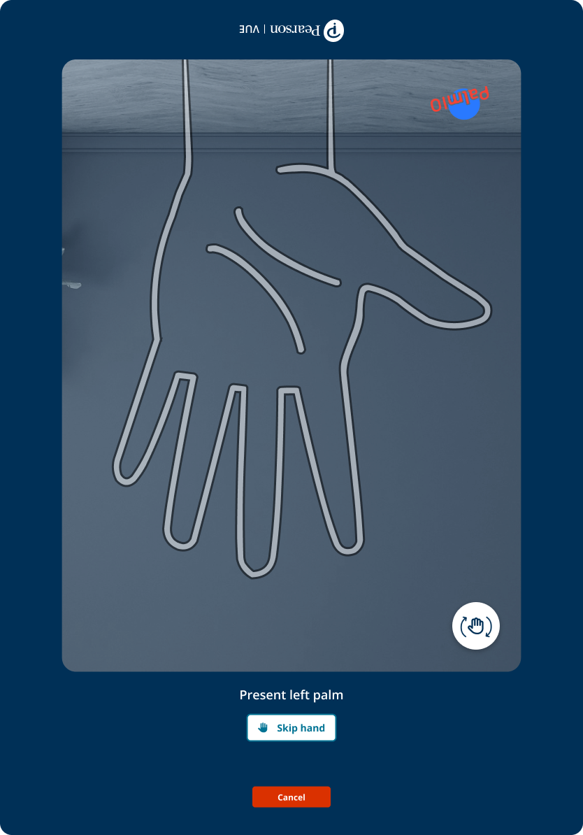 More of the palm-capture flow interface state 01