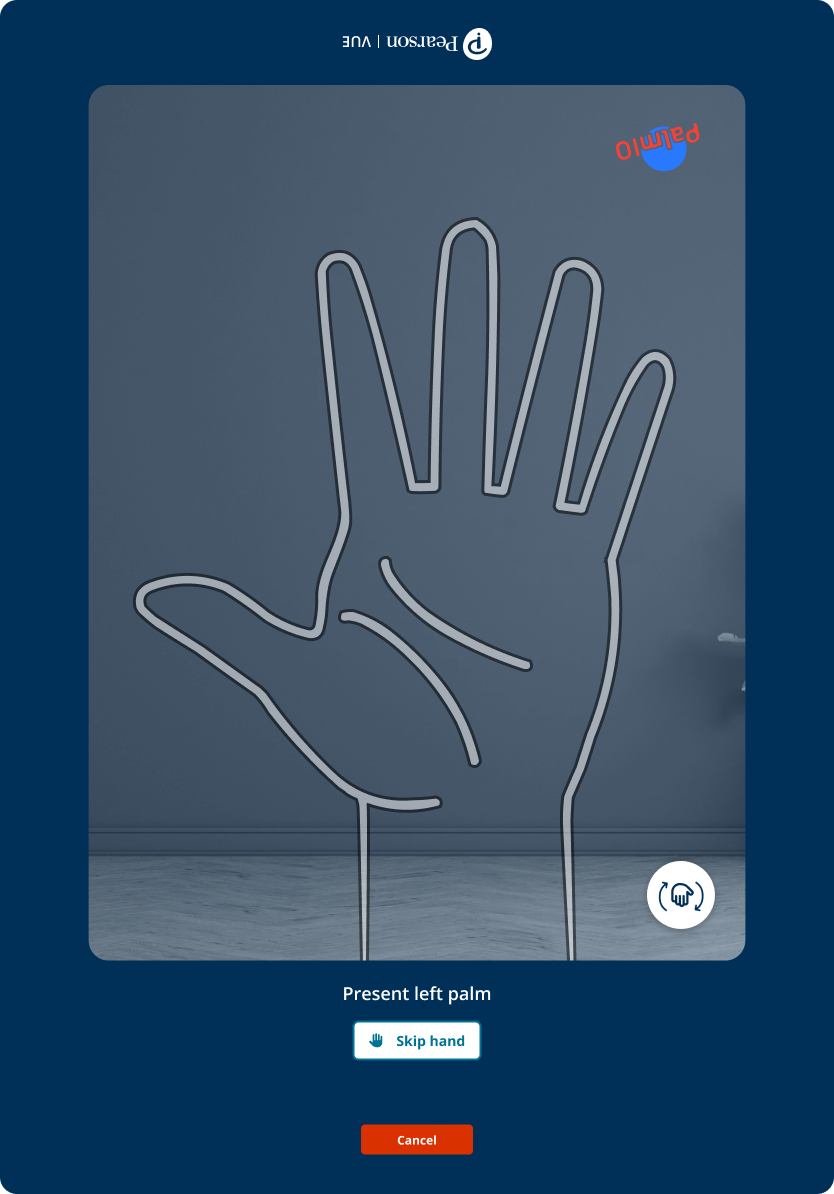 More of the palm-capture flow interface state 02