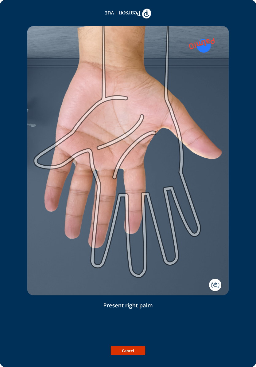 More of the palm-capture flow interface state 03