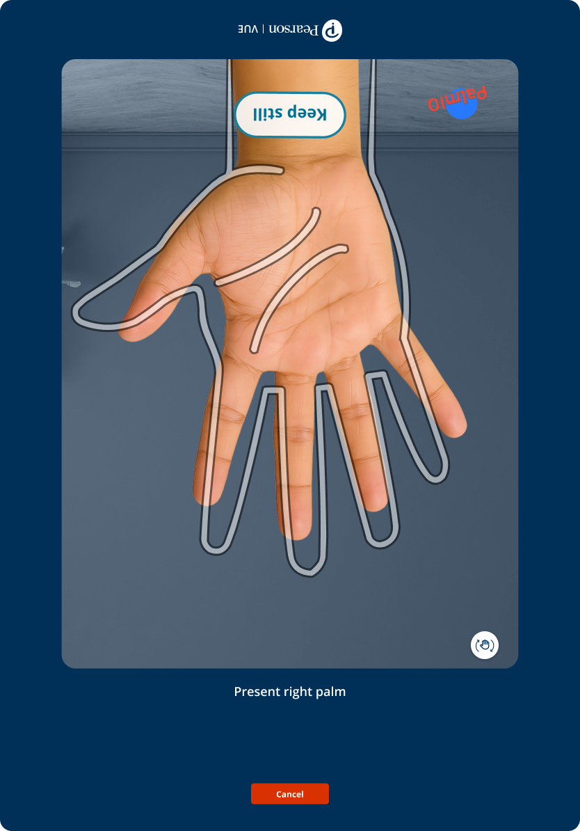 More of the palm-capture flow interface state 04