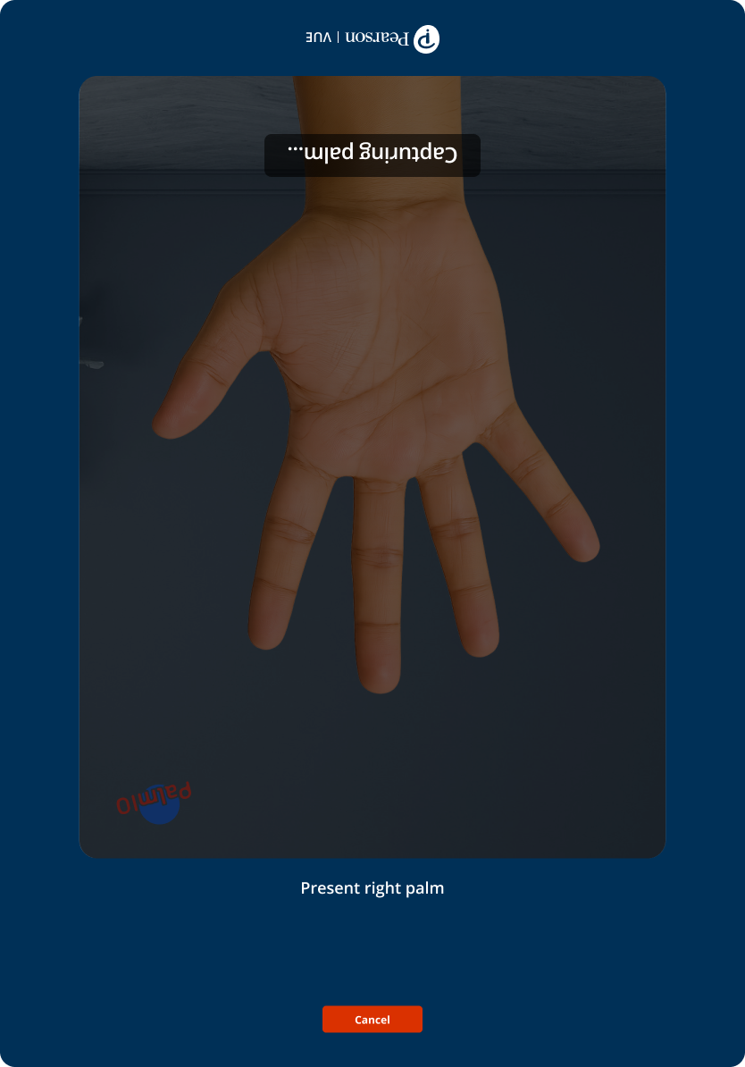 More of the palm-capture flow interface state 08